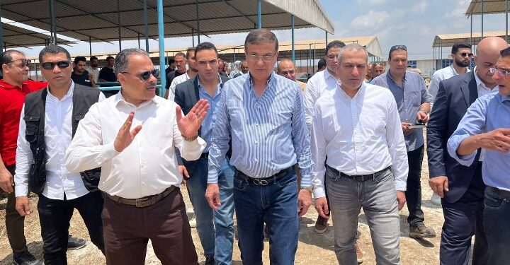 البنك الزراعي المصري يمول شراء 2000 رأس ماشية بقيمة 395 مليون جنيه لصالح  188 من صغار المربين بمحافظه الشرقية