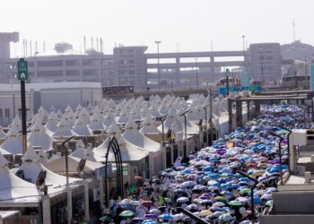 صفر شكاوى وخدمة خمس نجوم للاقتصادي.. مطوف سعودي يبهر القطاع السياحي بموسم الحج