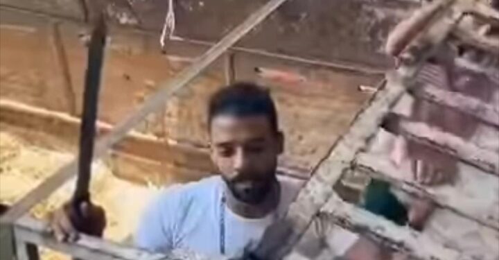 صرخات صامتة: وقفة ضد التعذيب في ذبح الأضاحي