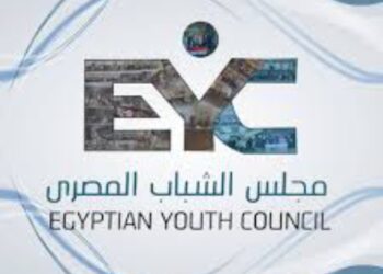 مجلس الشباب المصري: مناهضة خطاب الكراهية ضرورة وطنية لحماية السلم المجتمعي