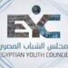 مجلس الشباب المصري: مناهضة خطاب الكراهية ضرورة وطنية لحماية السلم المجتمعي