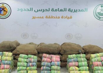 حرس الحدود بمنطقة عسير يحبط تهريب (375) كيلوجرامًا من نبات القات المخدر