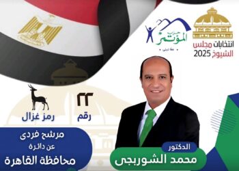 الشوربجي يشعل المنافسة في انتخابات الشيوخ بالقاهرة.. رجل الاقتصاد والمواقف يحظى بدعم واسع