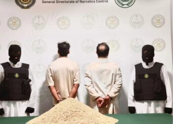 ضبط (411,546) قرصًا من مادة الإمفيتامين المخدر مخبأة في أحشاء كائنات حية (أغنام) بالمنطقة الشرقية