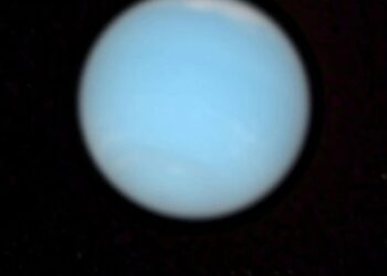 نبتون يبدأ حركته التراجعية اليوم