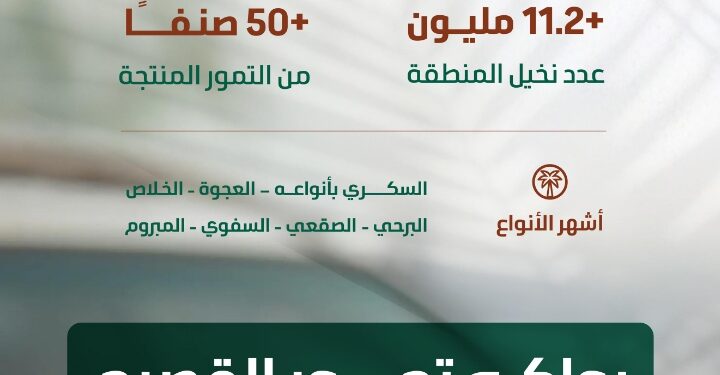 البيئة”: موسم جني بواكير التمور بالقصيم يعزز الحراك الاقتصادي بالمملكة بإنتاج يتجاوز (390) ألف طن