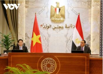 رئيس جمهورية فيتنام يصدر بيانًا صحفيًا عقب اجتماعه مع رئيس وزراء جمهورية مصر