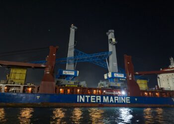 “دي بي ورلد مصر” تستقبل أحدث الرافعات العملاقة لتعزيز مكانة مصر كمركز لوجستي إقليمي