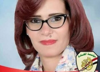 نرمين مرزوق مجلس النواب ٢٠٢٦ محافظة السويس