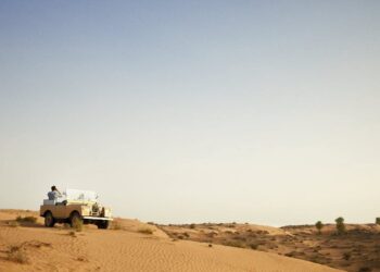 الذكاء الاصطناعي يخطف الأضواء في عالم الحجوزات السياحية في مصر