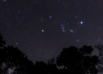 بداية عودة «نجوم الجبار» لسماء المساء