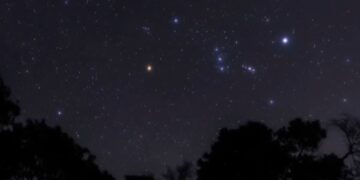 بداية عودة «نجوم الجبار» لسماء المساء