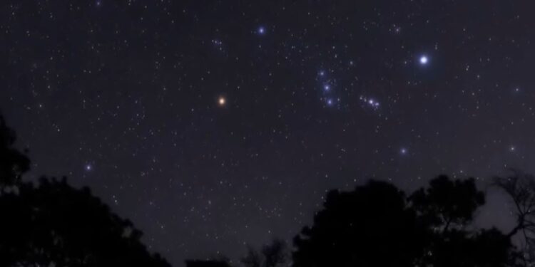 بداية عودة «نجوم الجبار» لسماء المساء