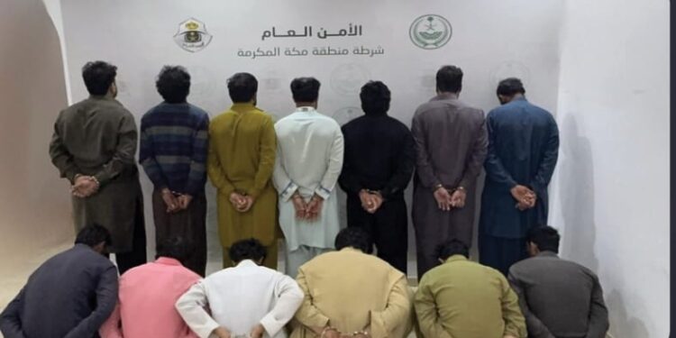 الشرطة تقبض على 13 مقيما لارتكابهم حوادث جنائية في سرقة مواشٍ (أغنام)