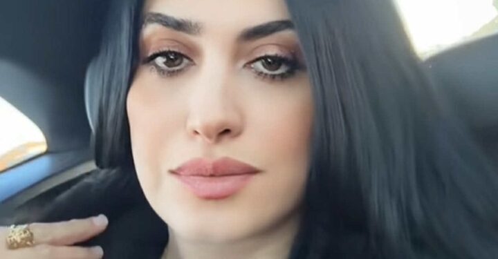 بوابة الضياء” تتهيأ