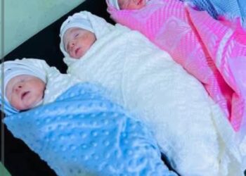 مستشفى يشهد ولادة أربعة توائم ذكور بعملية قيصرية ناجحة