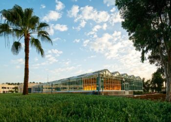 كاوست توقّع مذكرة تفاهم مع المركز الدولي لتحسين الذرة والقمح لتعزيز تطوير محاصيل مقاومة لتغير المناخ