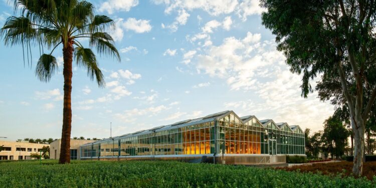 كاوست توقّع مذكرة تفاهم مع المركز الدولي لتحسين الذرة والقمح لتعزيز تطوير محاصيل مقاومة لتغير المناخ