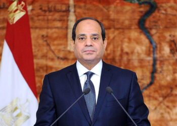 نداء عاجل إلى فخامة السيد رئيس الجمهورية، ودولة رئيس مجلس الوزراء، ووزير الكهرباء والطاقة، ووزيرة التنمية المحلية، والسيد المستشار رئيس هيئة الرقابة الإدارية: مطالب بفتح تحقيق فوري في تعطيل تنفيذ قرارات الدولة بالفيوم