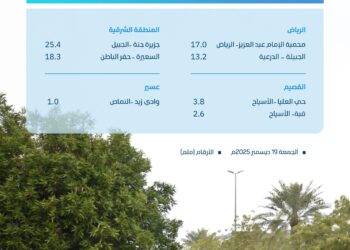 “البيئة”: الشرقية تتصدر مشهد الحالة المطرية بـ 31 ملم في الخفجي و65 محطة رصد تسجل هطولات متفرقة في 4 مناطق