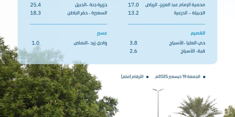 “البيئة”: الشرقية تتصدر مشهد الحالة المطرية بـ 31 ملم في الخفجي و65 محطة رصد تسجل هطولات متفرقة في 4 مناطق