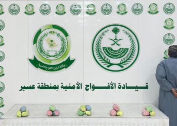 دوريات الأفواج الأمنية بمنطقة عسير تقبض على شخص لترويجه (3) كيلو جرامات من نبات القات المخدر