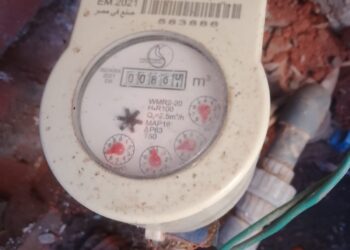 صدق أو لا تصدق