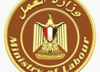 بعد تحويل جميع العاملين بمكتب عمل دسوق للتحقيق ▪︎وزير العمل يدعو “صاحب الفيديو المتداول” للتوجّه فورًا إلى مديرية العمل بكفر الشيخ لبحث مشكلته بشكل عاجل
