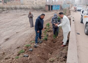 محافظ كفرالشيخ يتابع زراعة الأشجار.. ضمن المبادرة الرئاسية «100 مليون شجرة» تحت شعار «كفرالشيخ للأخضر»