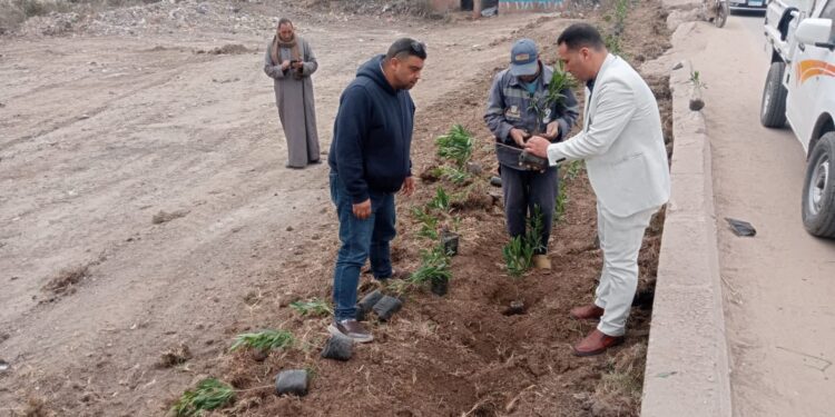 محافظ كفرالشيخ يتابع زراعة الأشجار.. ضمن المبادرة الرئاسية «100 مليون شجرة» تحت شعار «كفرالشيخ للأخضر»