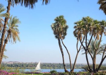 حيث يلتقي السحر الطبيعي بالأناقة والهدوء الخالص في قلب أسوان الجديدة
