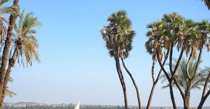 حيث يلتقي السحر الطبيعي بالأناقة والهدوء الخالص في قلب أسوان الجديدة