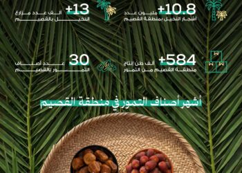 بنحو 584 ألف طن و30 صنفاً تمور القصيم تُزيّن موائد رمضان وتجمع بين التنوع والفائدة الغذائية