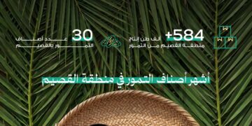 بنحو 584 ألف طن و30 صنفاً تمور القصيم تُزيّن موائد رمضان وتجمع بين التنوع والفائدة الغذائية