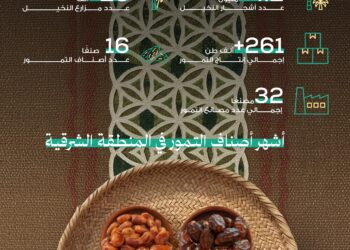 “النخيل والتمور”: 16 صنفًا من تمور الشرقية تتصـدر الأسـواق في رمضان