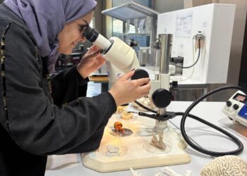 المملكة العربية السعودية تُعزّز جهود إستعادة الشعاب المرجانية في البحر الأحمر عبر إطلاق مبادرة عالمية للتدريب