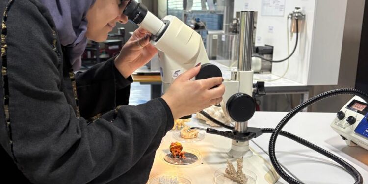 المملكة العربية السعودية تُعزّز جهود إستعادة الشعاب المرجانية في البحر الأحمر عبر إطلاق مبادرة عالمية للتدريب