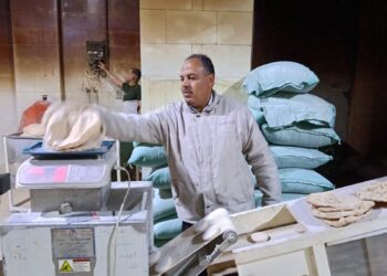 تحرير  10 محاضر بالحملة التموينية على المخابز بنطاق مركز ومدينة دسوق