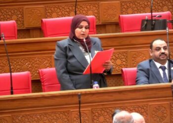 النائبةأسماء حجازي تؤيد اتفاقية منحة سوهاج وتؤكد: المواطن ينتظر نتائج ملموسة لا وعود