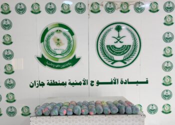 دوريات الأفواج الأمنية بمنطقة جازان تُحبط تهريب (29) كيلو جرامًا من نبات القات المخدر