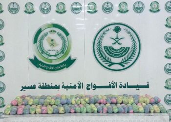 *دوريات الأفواج الأمنية بمنطقة عسير تُحبط تهريب (44) كيلو جرامًا من نبات القات المخدر