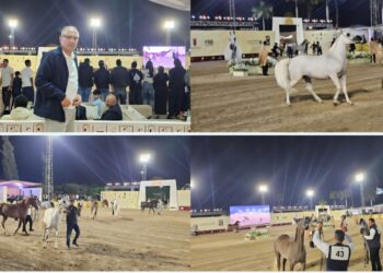 السفير التركي بالقاهرة يشيد بعراقة الخيول المصرية الأصيلة خلال مشاركته بمهرجان الخيل المصري