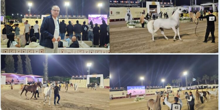 السفير التركي بالقاهرة يشيد بعراقة الخيول المصرية الأصيلة خلال مشاركته بمهرجان الخيل المصري