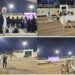 السفير التركي بالقاهرة يشيد بعراقة الخيول المصرية الأصيلة خلال مشاركته بمهرجان الخيل المصري