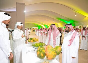 *أمير منطقة جازان يُطلق فعاليات حصاد المانجو 2026 بواجهة صبيا دعمًا للمزارعين وتعزيزًا للاقتصاد الزراعي*