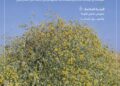 “الغطاء النباتي”: انطلاق موسم جمع بذور العرفج تعزيزًا لجهود تنمية الغطاء النباتي وازدهار المراعي الطبيعية