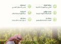 البرنامج الوطني للتشجير: ستة مبادئ رئيسية لاستدامة عمليات التشجير وتغيير النظام البيئي في المملكة