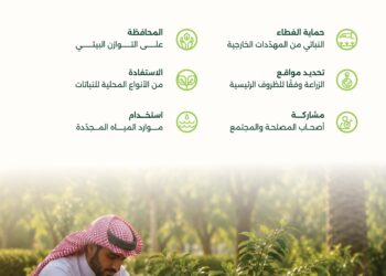 البرنامج الوطني للتشجير: ستة مبادئ رئيسية لاستدامة عمليات التشجير وتغيير النظام البيئي في المملكة