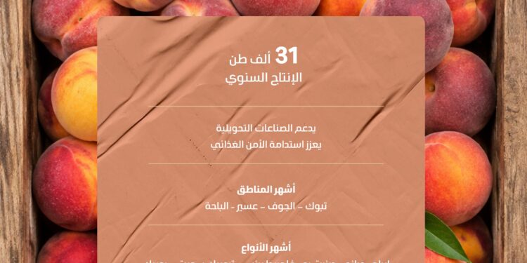 منافذ البيع تنتعش بأكثر من 31 ألف طن من ثمار الخوخ المنتجة محليًا