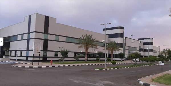 نجاح عملية دقيقة لاستئصال الزائدة الدودية لحامل بتوأم في مستشفى تيماء العام
